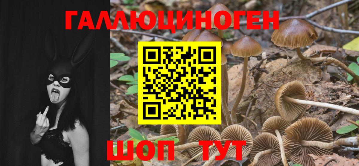Псилоцибиновые грибы ЛСД Белая Калитва